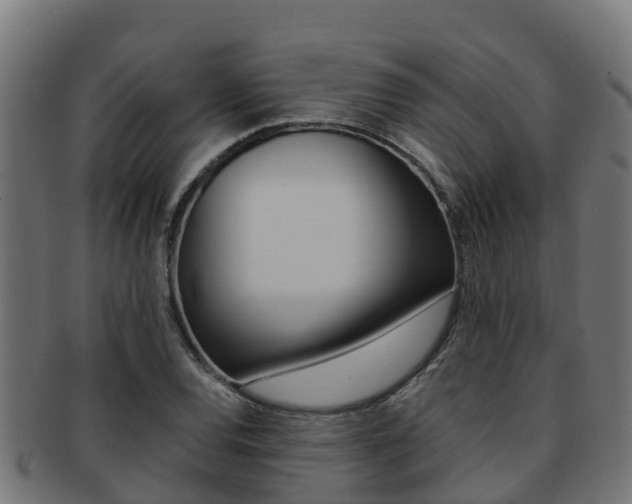 X0000091981120200709061147