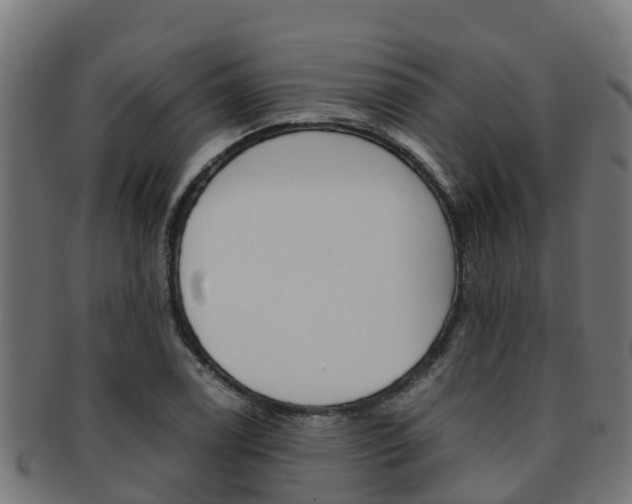 X0000091981122200709061147
