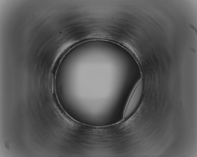 X0000091981123200709061147