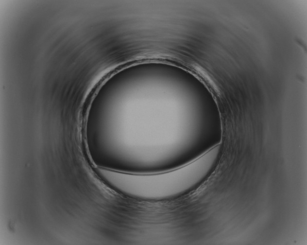 X0000091981124200709061147