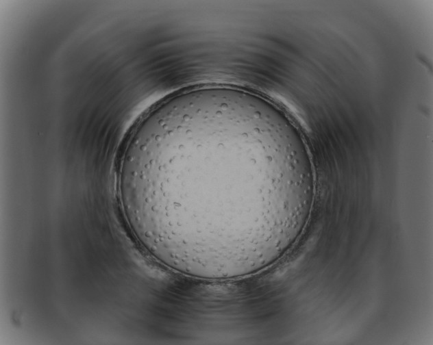 X0000091981125200709061147