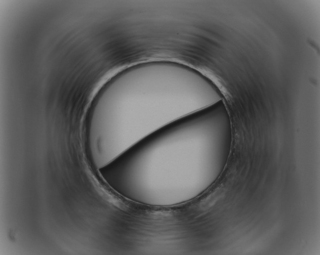 X0000091981126200709061147