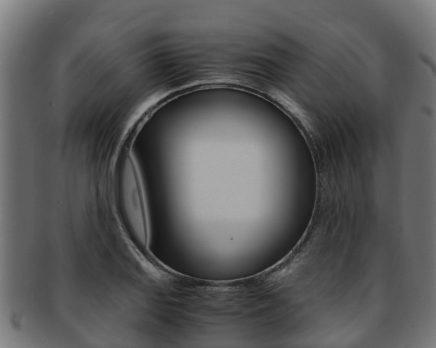 X0000091981127200709061147