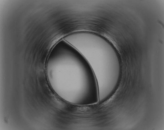 X0000091981129200709061147