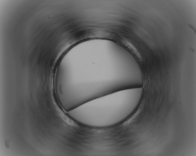 X0000091981130200709061147