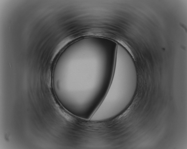 X0000091981131200709061147