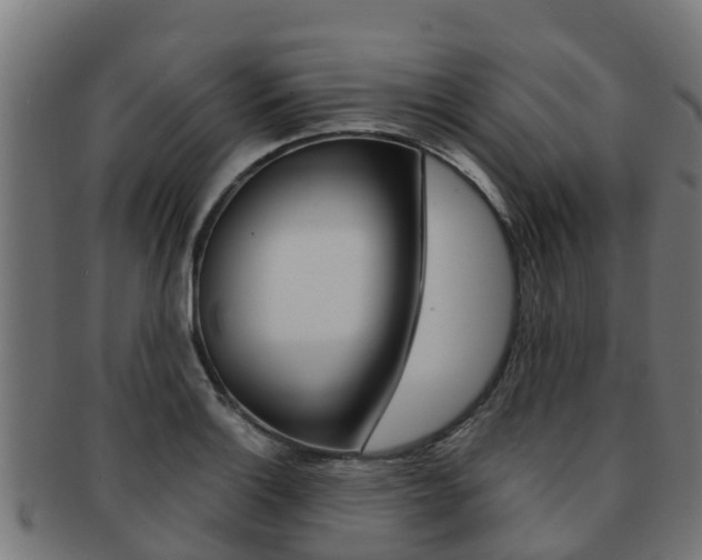X0000091981132200709061147