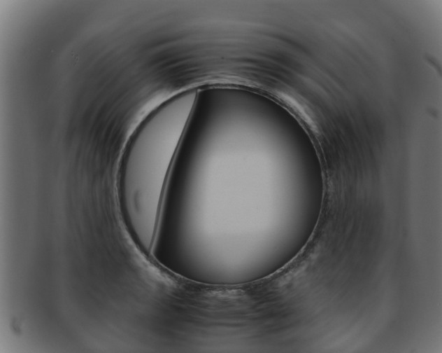 X0000091981133200709061147