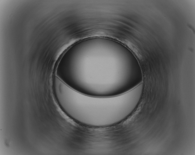 X0000091981134200709061147