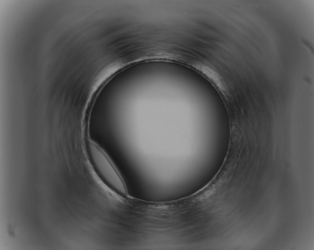 X0000091981135200709061147