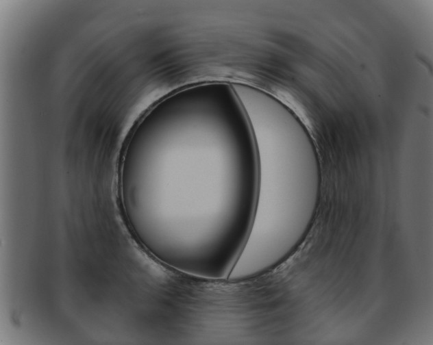 X0000091981136200709061147