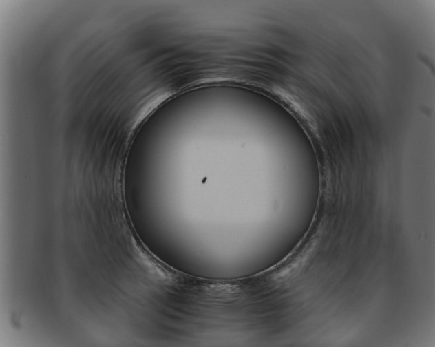X0000091981137200709061147