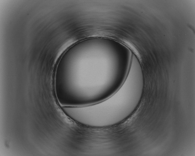 X0000091981138200709061147
