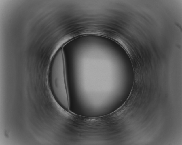 X0000091981139200709061147