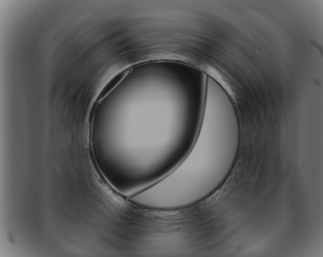 X0000091981140200709061147