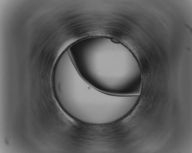 X0000091981141200709061147