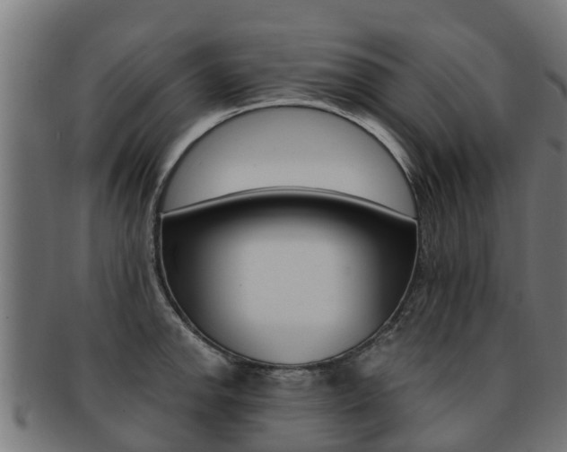 X0000091981142200709061147