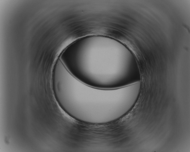X0000091981143200709061147