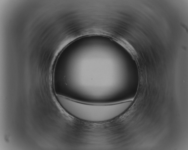 X0000091981144200709061147