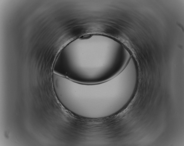 X0000091981145200709061147