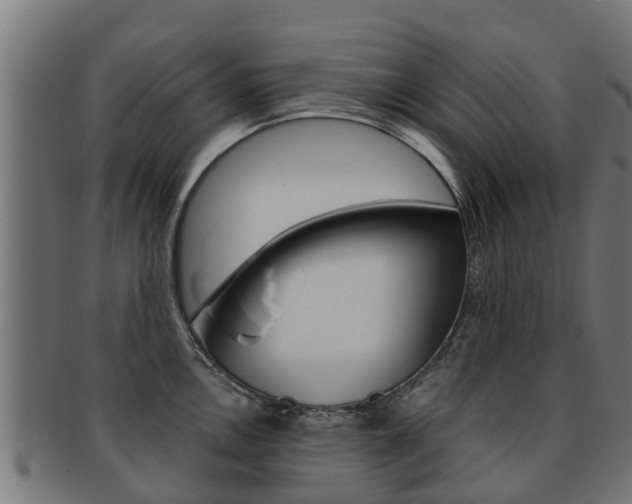 X0000091981146200709061147