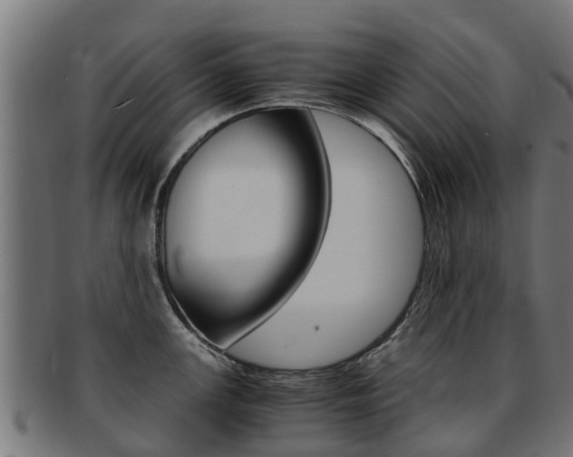 X0000091981147200709061147