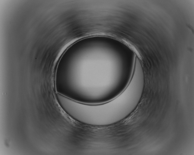 X0000091981148200709061147