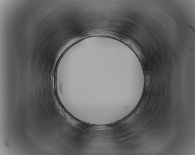 X0000091981150200709061147