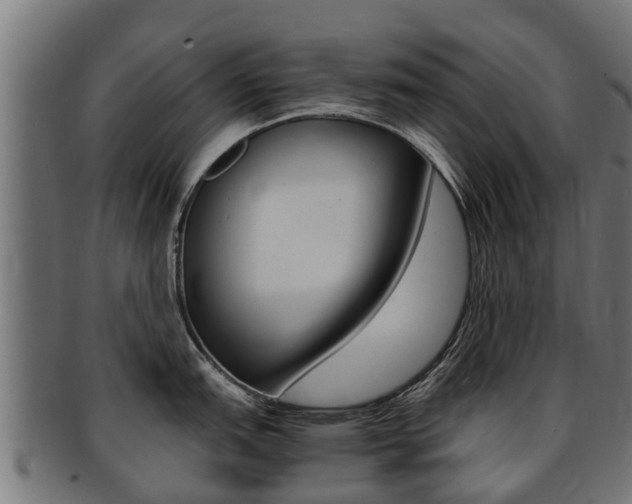 X0000091981151200709061147