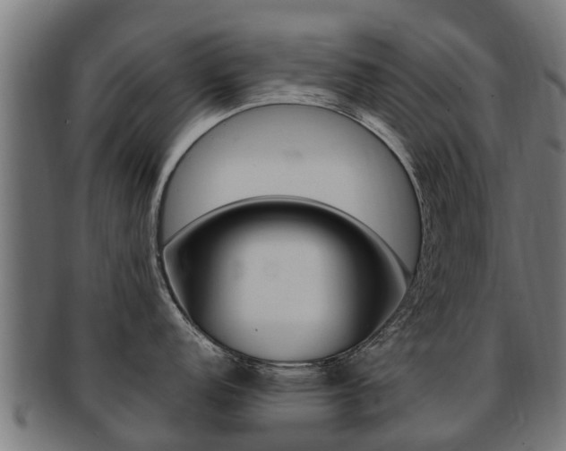 X0000091981152200709061147