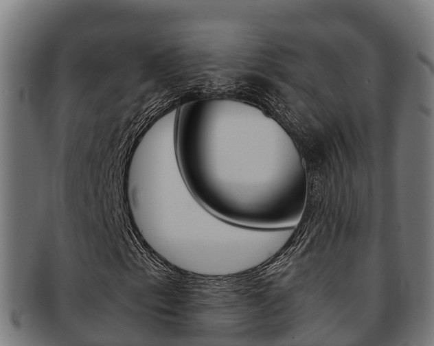 X0000091981153200709061147