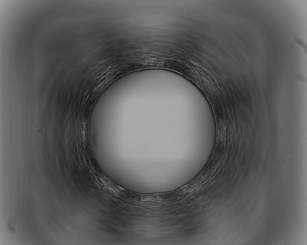 X0000091981154200709061147