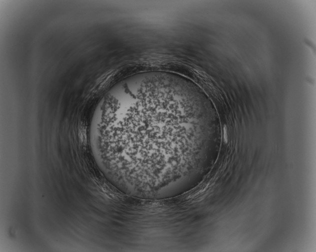 X0000091981155200709061147