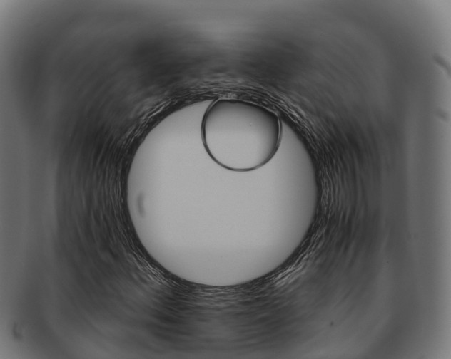 X0000091981156200709061147