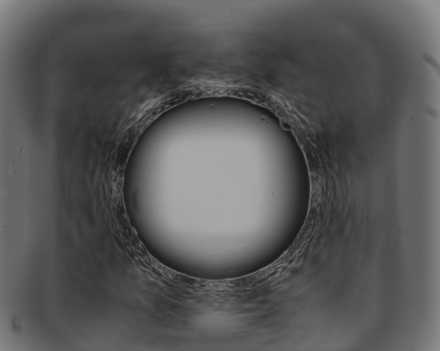 X0000091981157200709061147