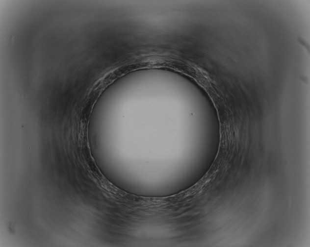X0000091981158200709061147