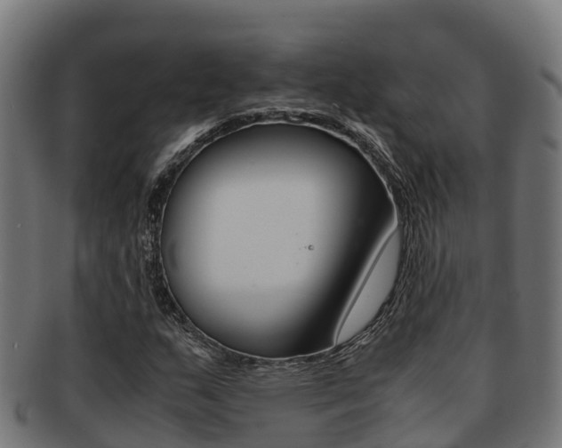 X0000091981159200709061147