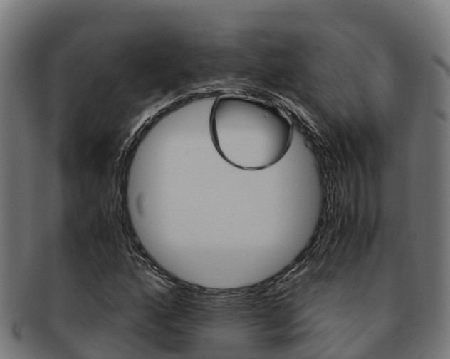 X0000091981160200709061147