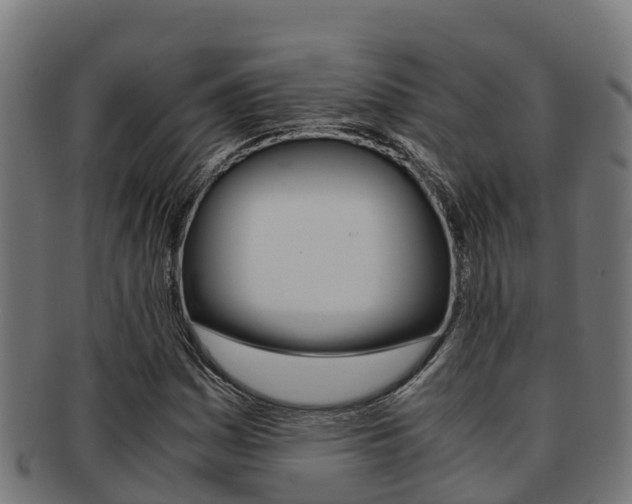 X0000091981161200709061147