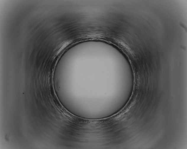 X0000091981162200709061146