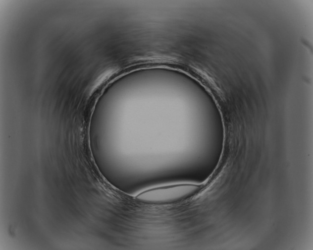 X0000091981163200709061146