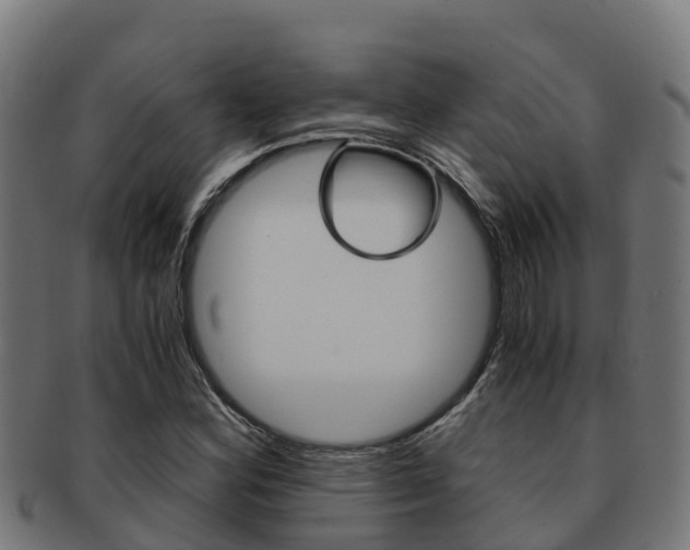 X0000091981164200709061146