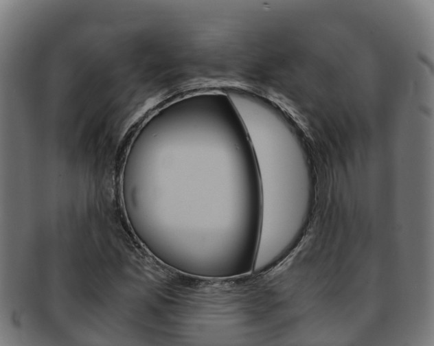 X0000091981165200709061146
