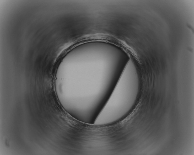 X0000091981166200709061146