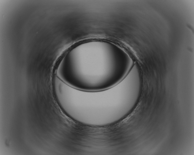 X0000091981168200709061146