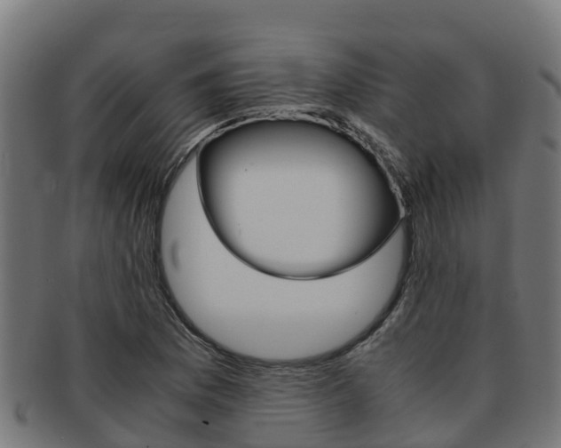X0000091981169200709061146
