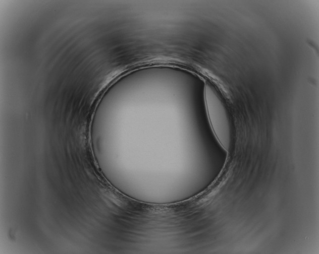 X0000091981170200709061146