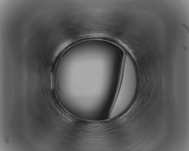 X0000091981171200709061146