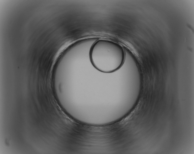 X0000091981172200709061146