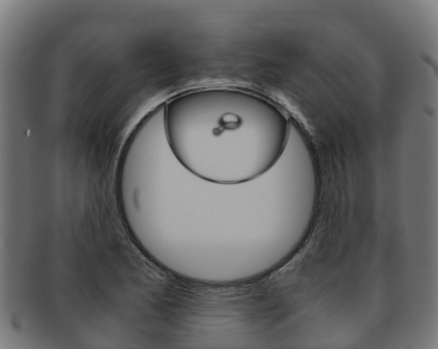 X0000091981173200709061146